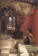 Alma-Tadema, Sir Lawrence An Oleander (mk23) oil painting reproduction